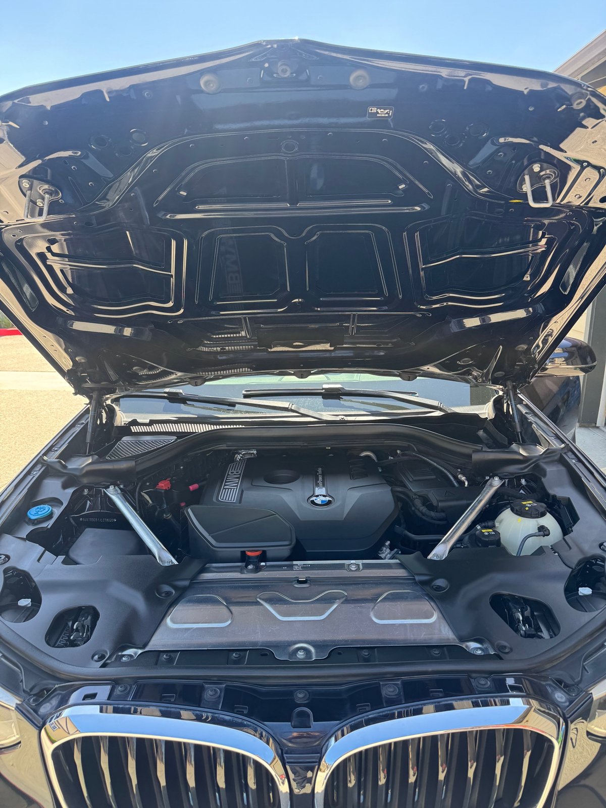 Clean detailed BMW engine bay